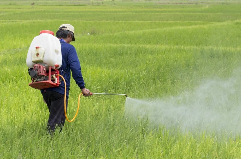 Crop Protection
